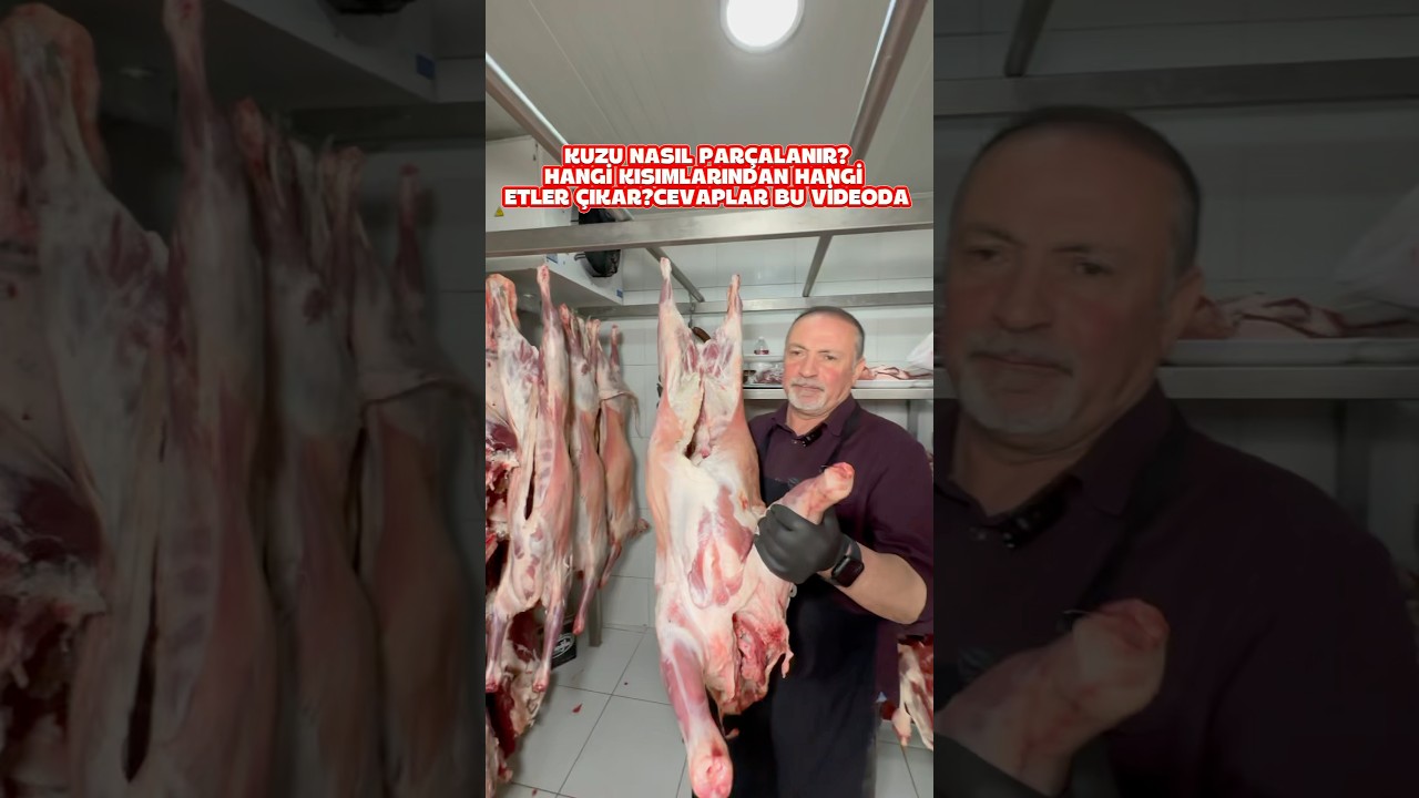 KUZU NASIL PAR&Ccedil;ALANIR?HANGİ KISIMLARINDAN HANGİ ETLER &Ccedil;IKAR?CEVAPLAR BU VİDEODA🤗Kasapemin #shorts