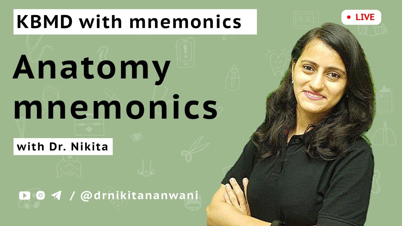 Anatomy mnemonics - KBMD | Quiz & discussion | Dr. Nikita Nanwani