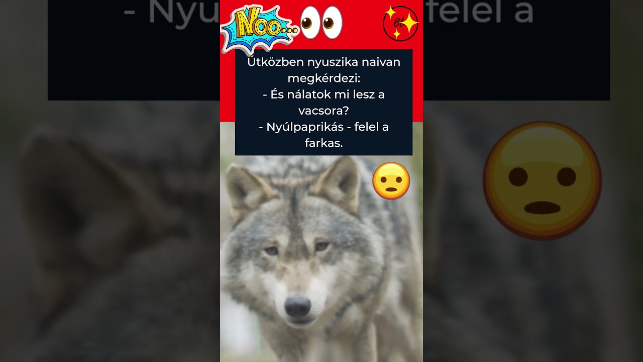 Hov&aacute; m&eacute;sz nyuszika? - k&eacute;rdi a #farkas. #nyuszika #tiktok #vicces #aranyos #viccesvide&oacute;k #vicc #po&eacute;n