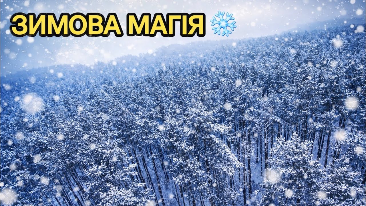 Сніг у повітрі та тиша лісу | Зимовий політ дрона