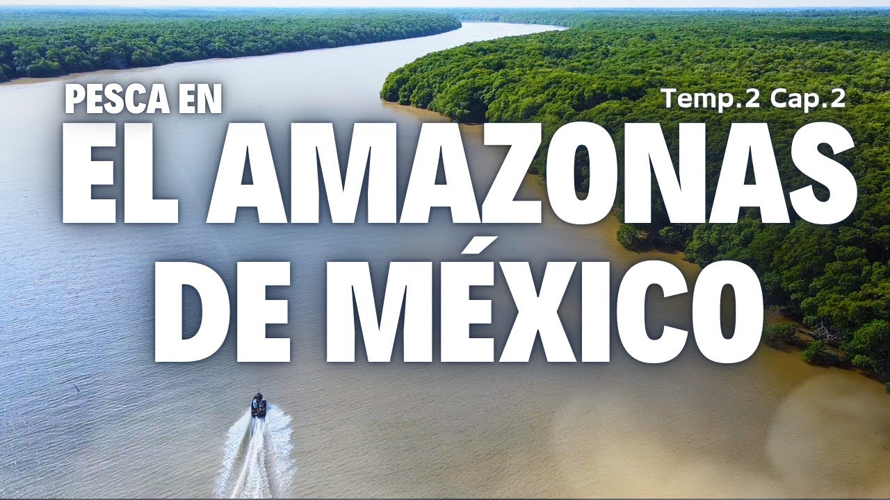 Pescando en El amazonas de Tabasco