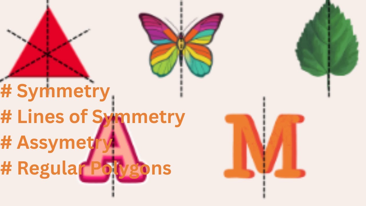 Ganita Prakash- Class 6-Ch-9 - Symmetry II What is Symmetry? |I Lines of Symmetry