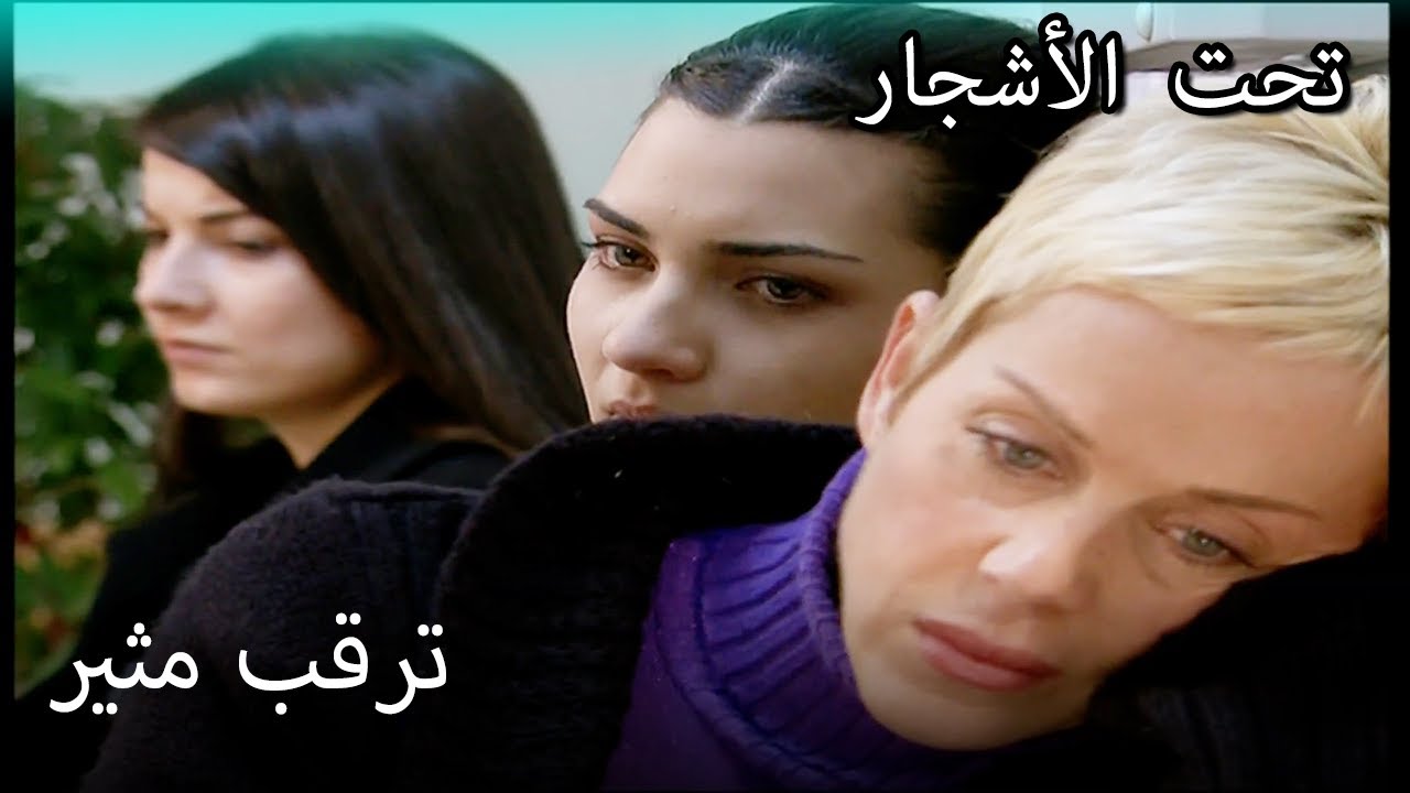 الجميع ينتظر عمر - القسم الخاص تحت الزيزفون