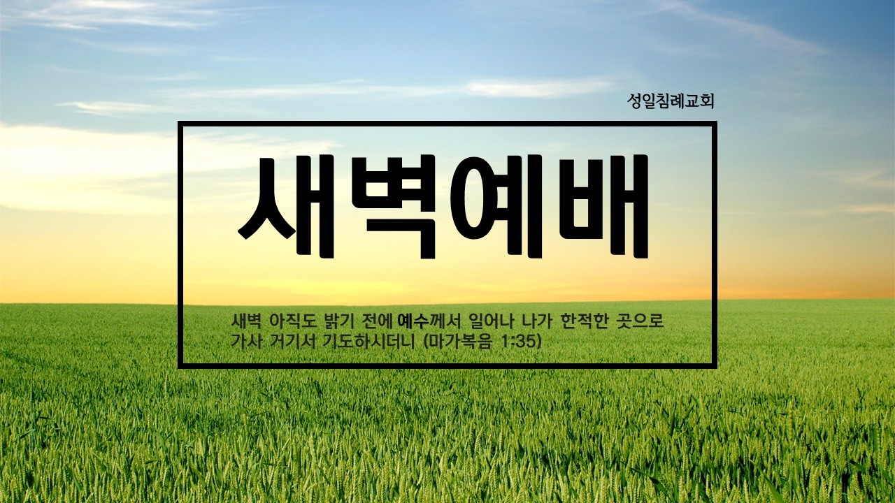 [성일침례교회] (03/19) / 새벽예배 / 김현 정도사 / 출애굽기 11장