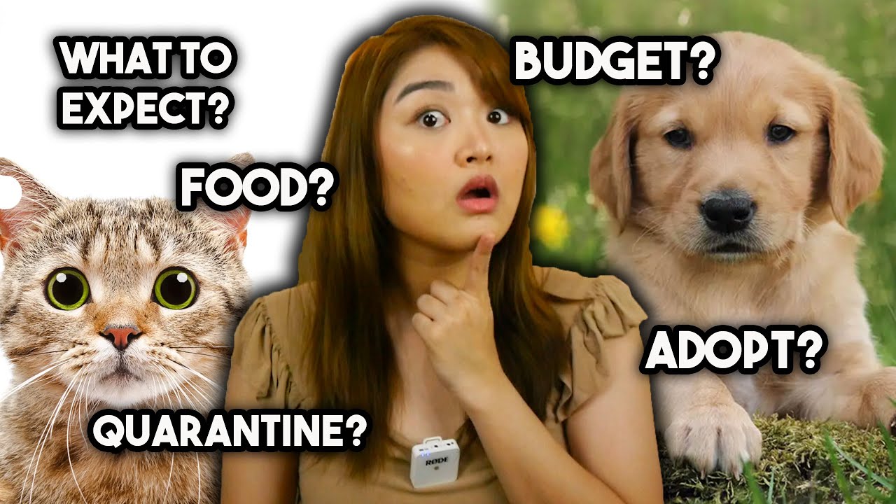 WHAT TO EXPECT AS A FIRST-TIME FURPARENT  | Arah Virtucio
