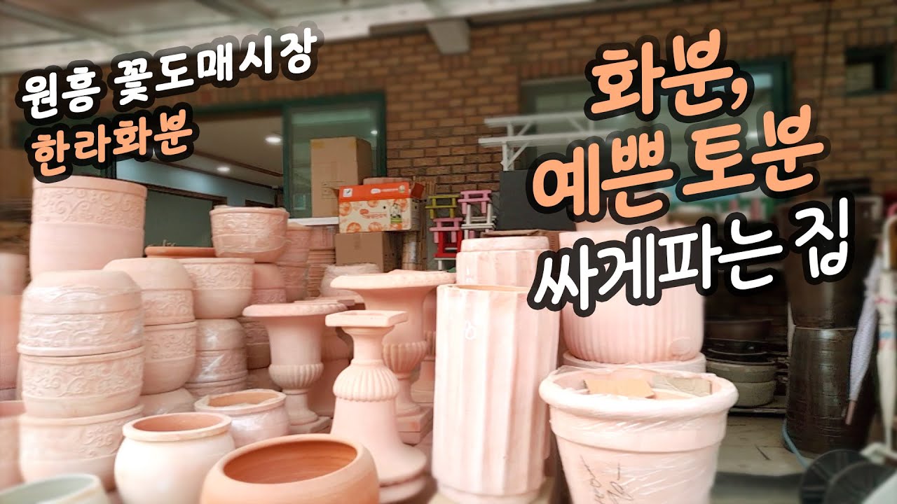 화분 싸게파는집 / 예쁜토분 싸게파는집/ 원흥꽃도매시장 / 한라화분