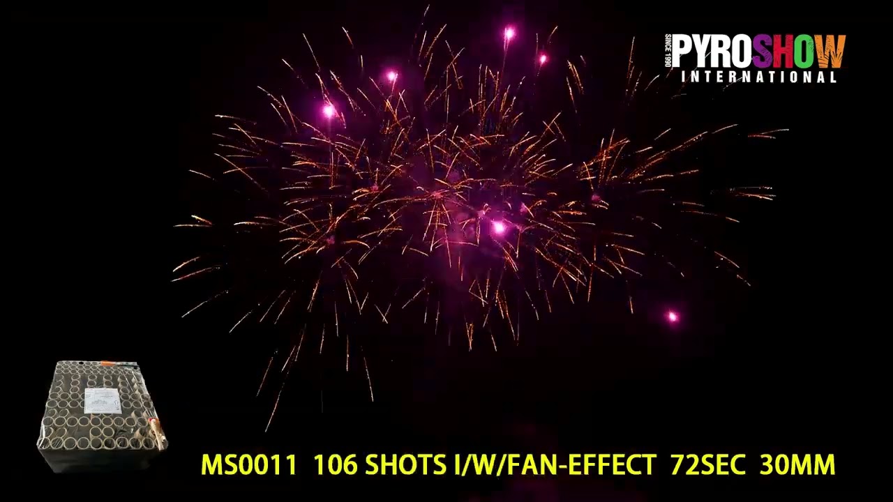 MS0011