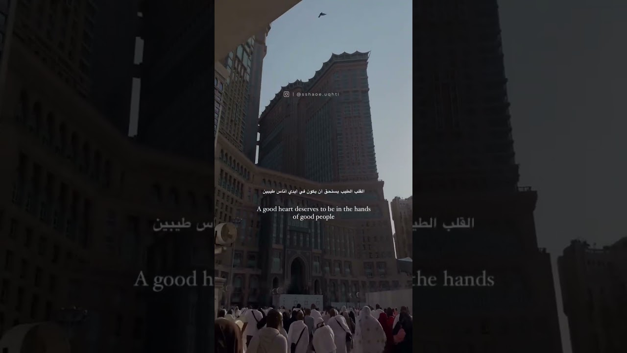 #shortvideo #love #halallove #quotes #halallifestyle #motivation #halalvibes #islamicshorts
