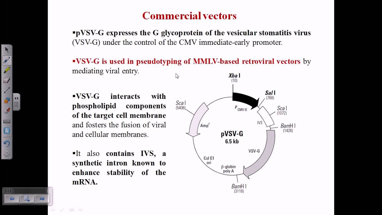 Pseudotyping of viral vectors