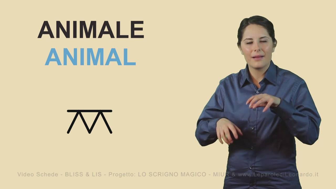 11 ANIMALI animals   Video Schede   BLISS & LIS   Progetto LO SCRIGNO MAGICO   MIUR & www Leparoledi