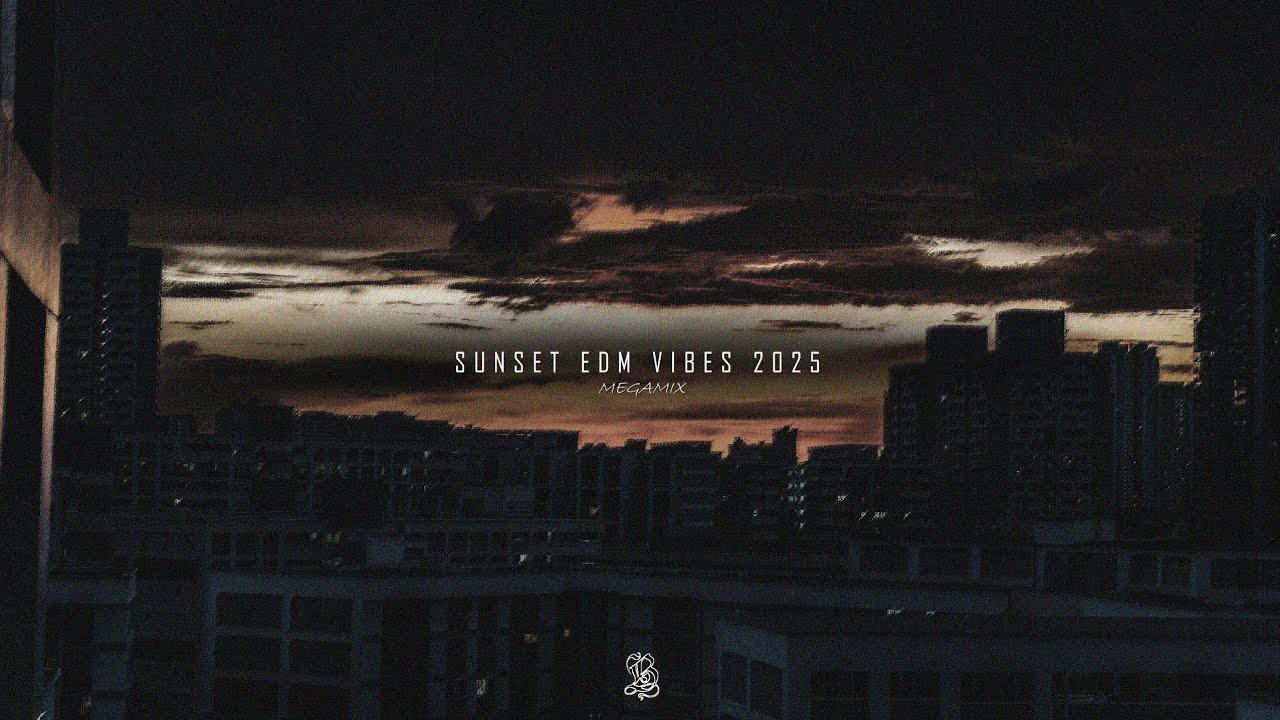 Bryan - SUNSET EDM VIBES 2025 (Megamix 2025) | Mixed By Bryan