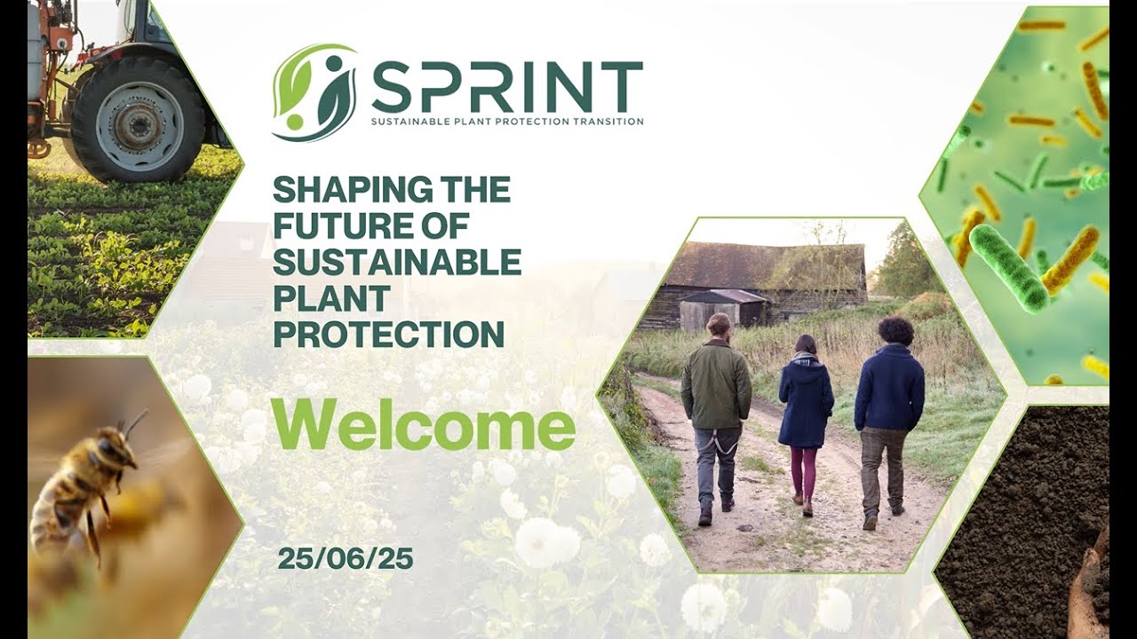 Shaping the Future of Sustainable Plant Protection: SPRINT conference, 25 June 2025