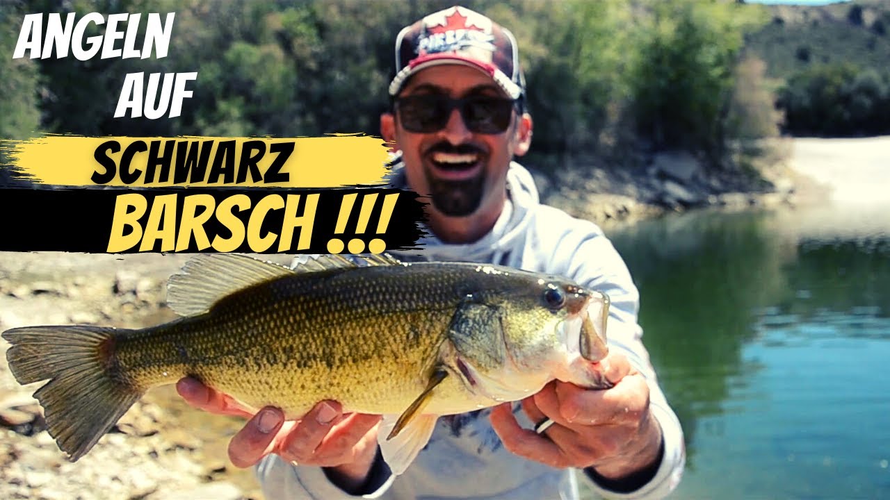 Schwarzbarsch angeln am Ebro vom Ufer | Angelguiding-Sorpesee.de