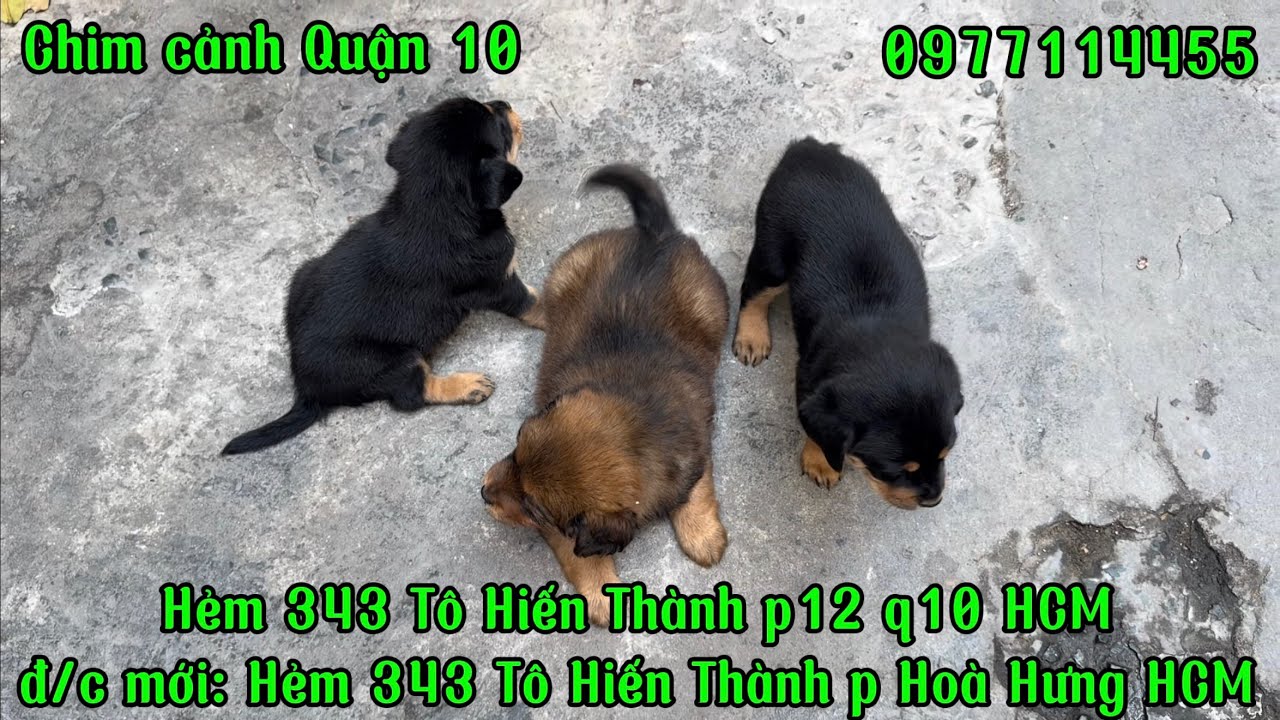 Tặng đến ai đủ yêu thương