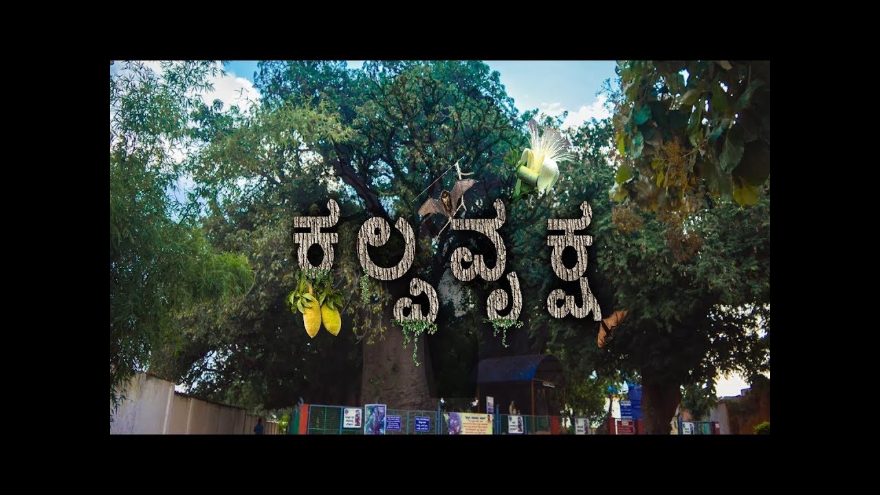 Savanur Kalpavruksha | Trailer | A Documentary By Dastageer H C & Fakkiresh A