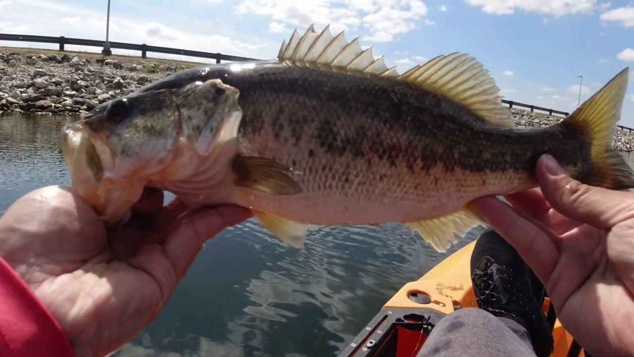 Rancho Seco lake fishing (Bed fishing/power plant/bass fishing/hobie kayak)