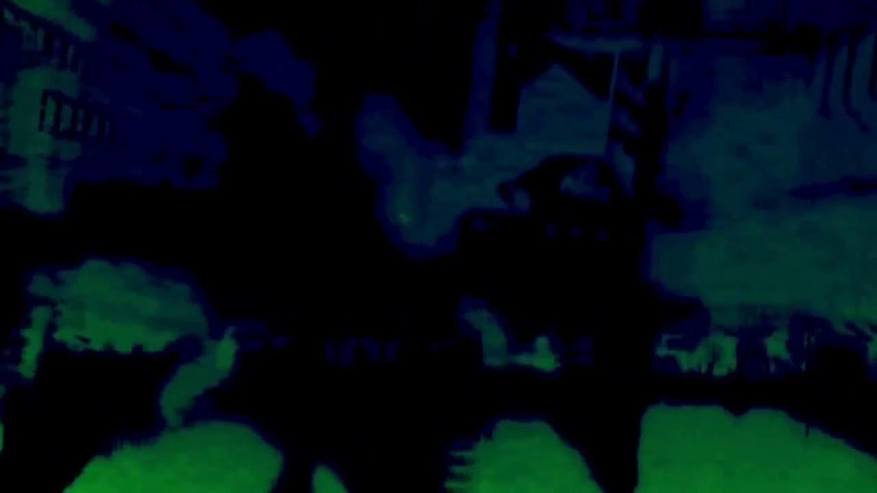 I Chose To Look the Other Way   Video