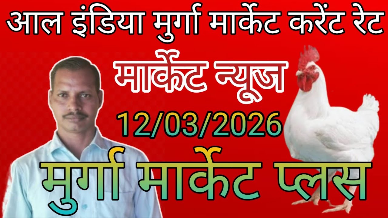 Poultry rate today in up/Poultry rate today/Poultry rate near me/Poultry rate per/Daily poultry rate