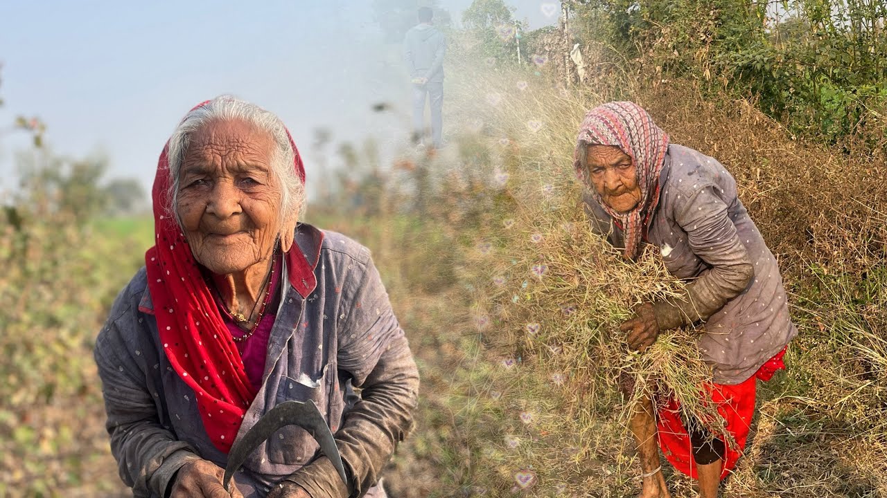 ગઢા બાનુ વાડી નું કામ