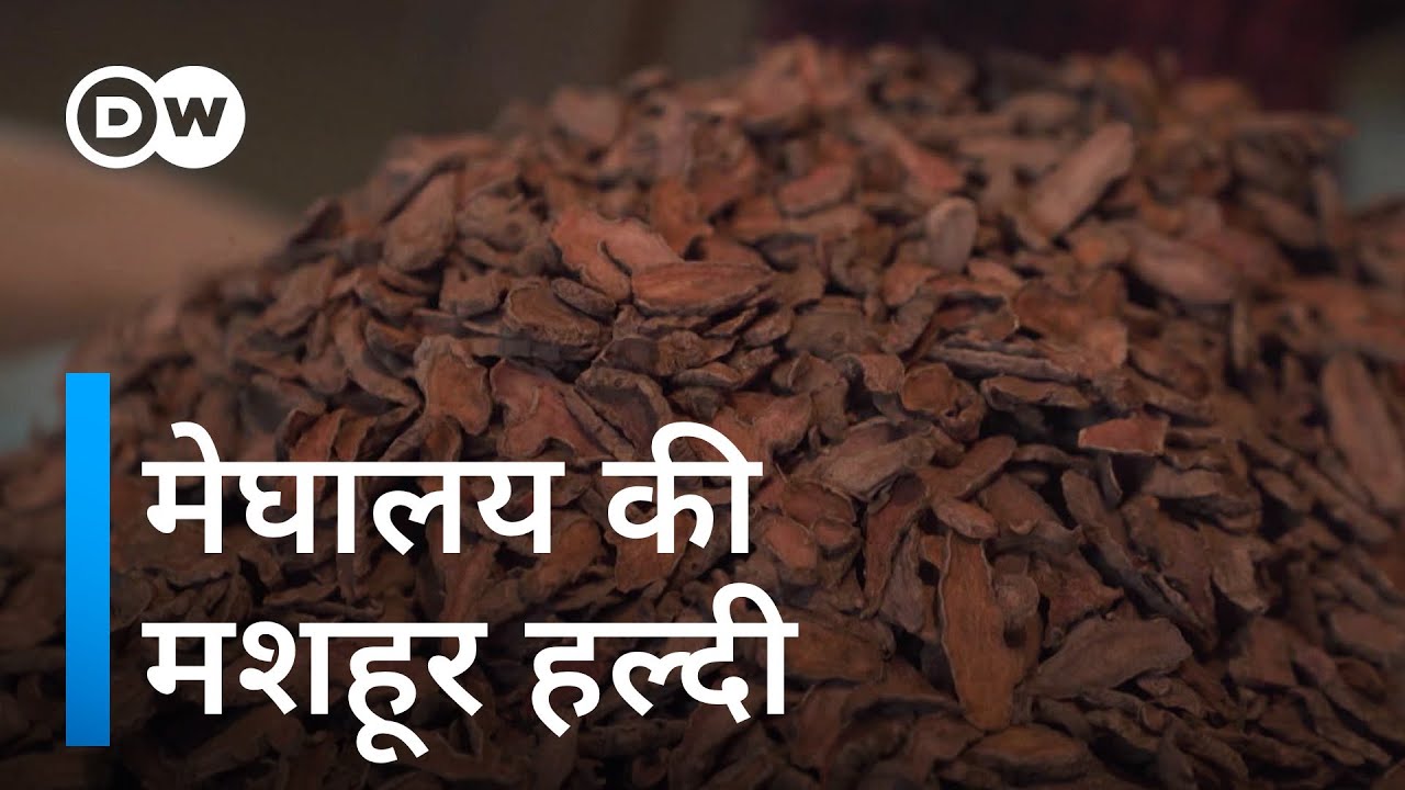 मेघालय की लकदोंग हल्दी इतनी खास क्यों है [Reviving Turmeric cultivation in Meghalaya]