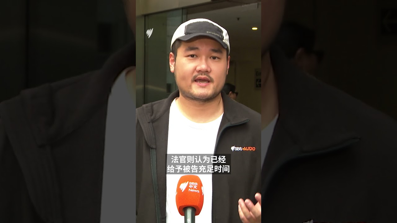 杨兰兰案第三度开庭未现身 法官：赶紧决定是否认罪 | SBS中文
