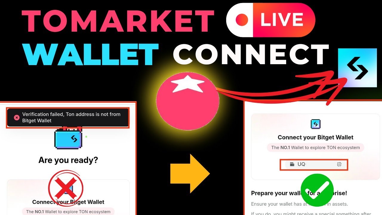 Tomarket 🔴Live Wallet Connect Process #tomarket #tomato #tomarketairdrop
