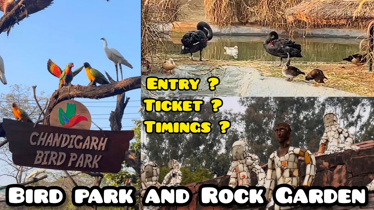 Rock Garden and Bird Park Chandigarh | Famous Places in Chandigarh | Entry Ticket, Timings