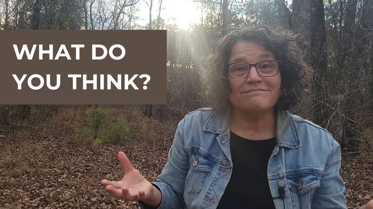 What if Freedom Starts Here?