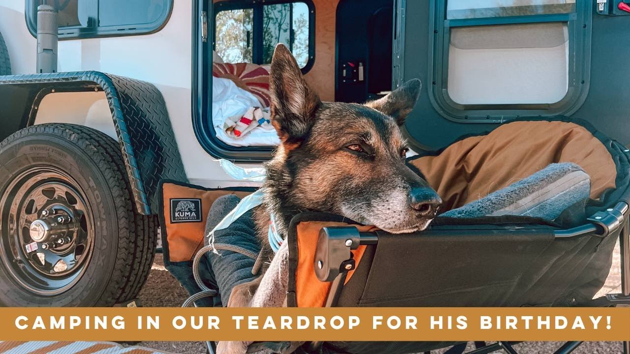 We went camping in our Teardrop for my Dogs 8th Birthday!