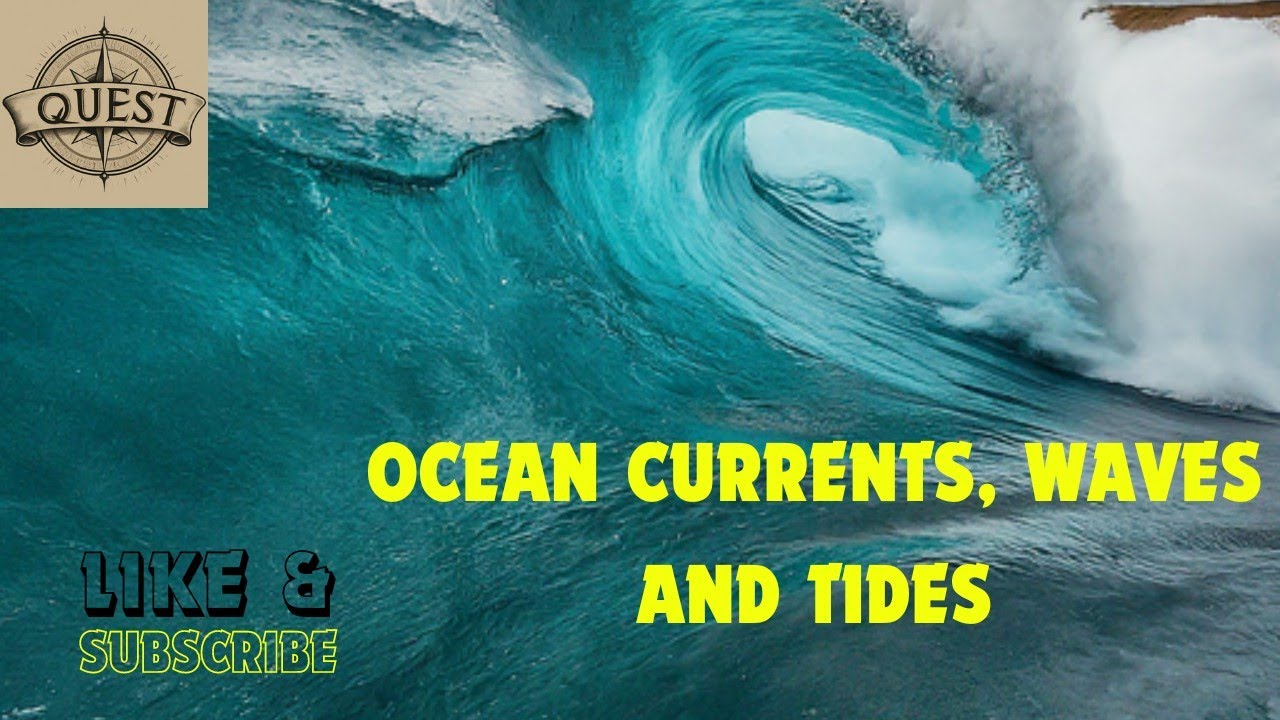 The Ocean's Pulse  Currents, Waves, and Tides