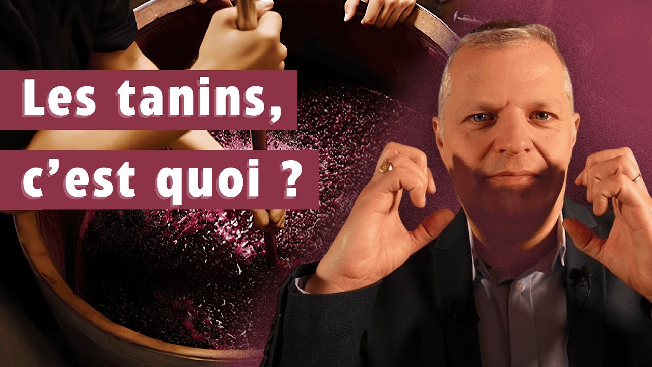 Les tanins, c'est quoi ?
