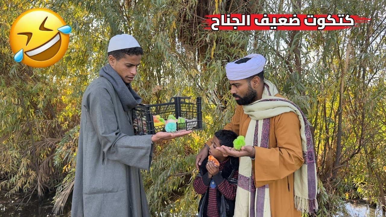 كتكوت ضعيف الجناح والدنيا غدرت بيه🐤🤣