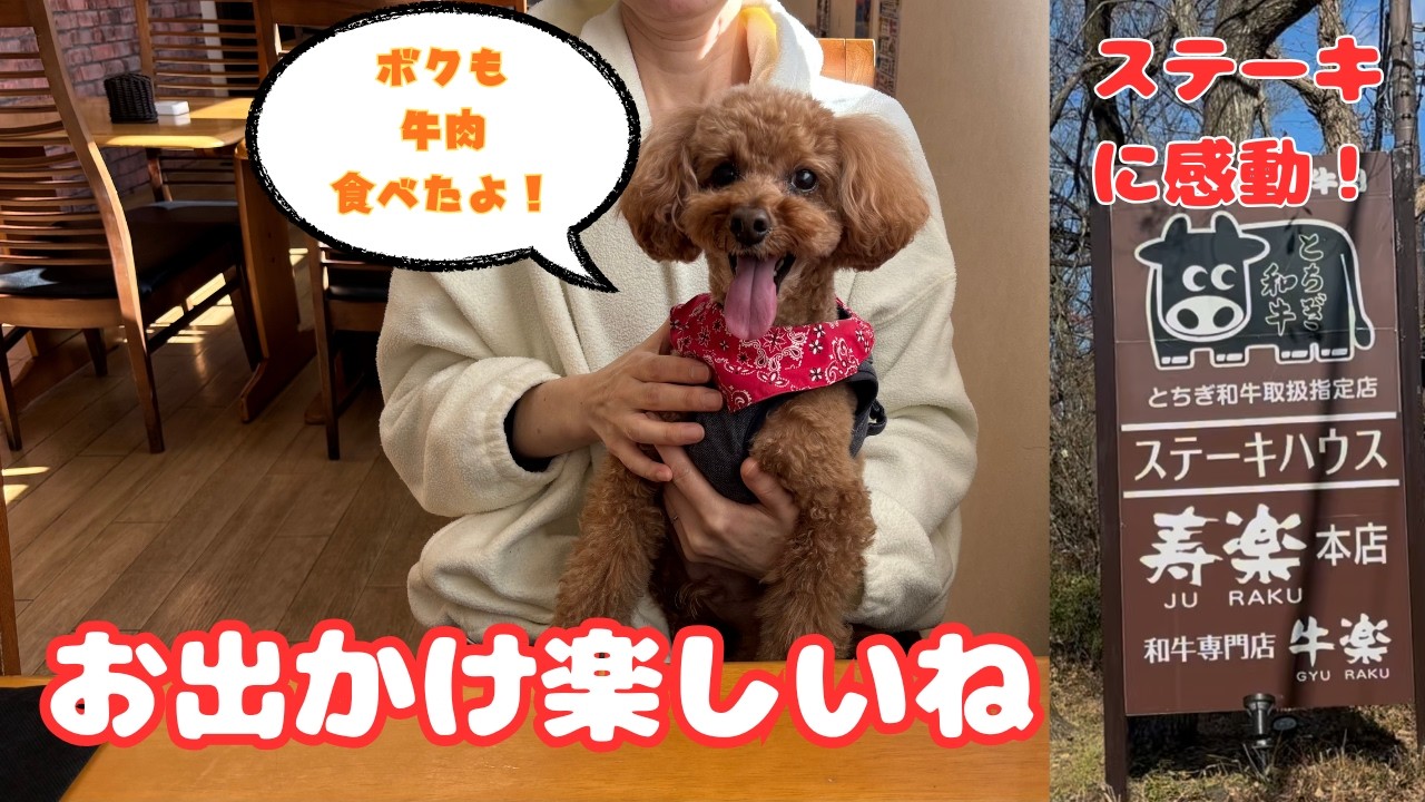 那須にお出掛けして来ました。途中、見つけたステーキ屋さんが最高すぎて幸せな1日になりました。