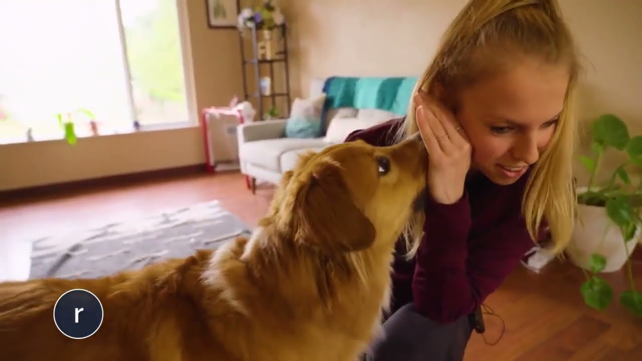 Skateboarding dog from Everett gains national fame for his amazing sports tricks