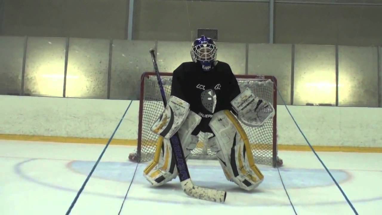 Anatomy of the Basic Stance and Butterfly: the Two Platforms of Modern Goaltending