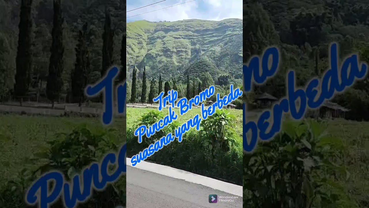 Trip 