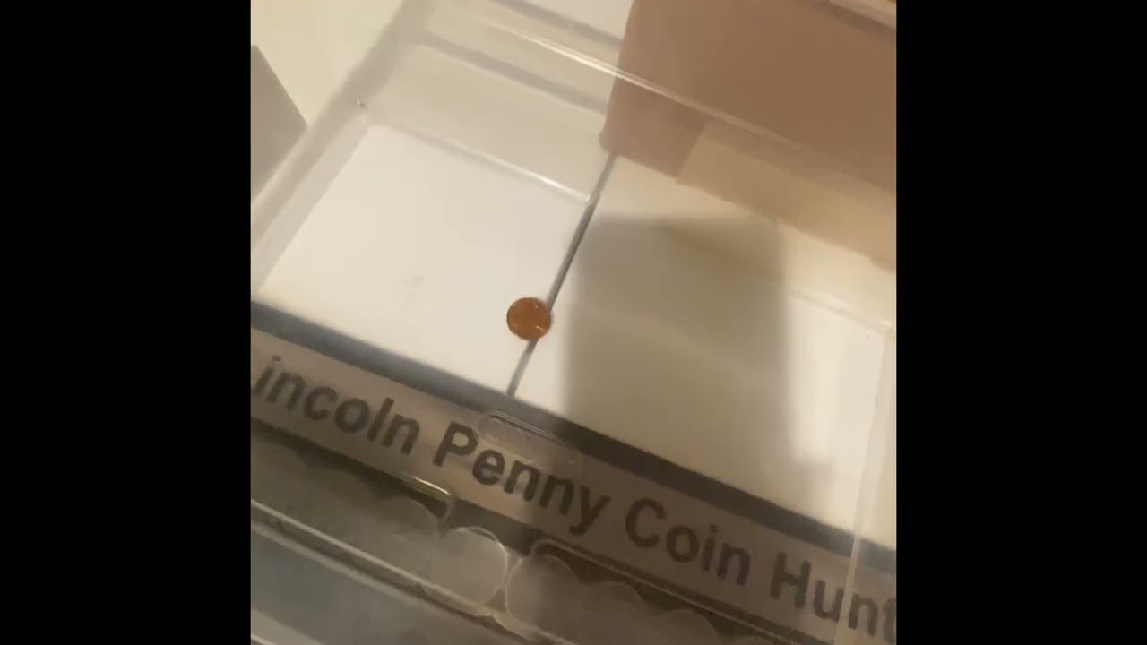 Searching a $25 Box of Pennies for Copper… and It Was a Total Skunk! #copperpenny #bullion #copper 