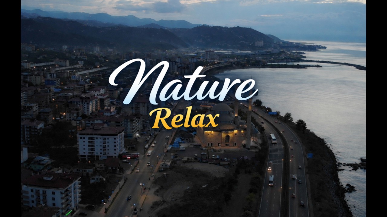 Beautiful Coastal Nature from Above |  Relaxing Video
