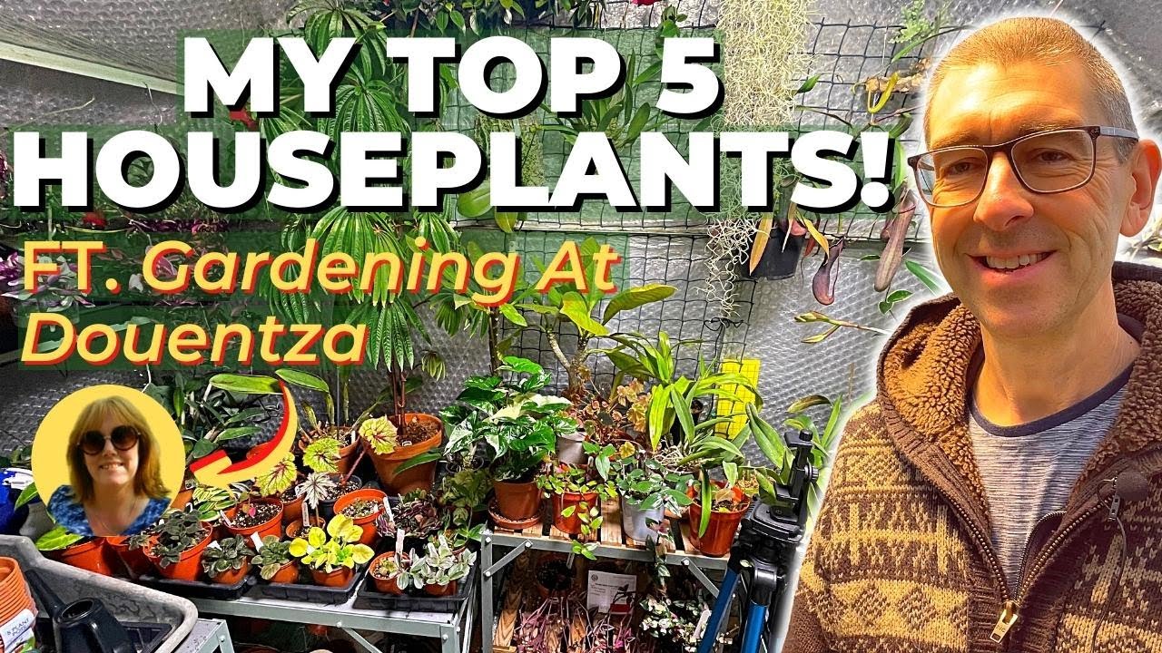 My TOP 5 HOUSEPLANTS - FT. @Gardening at Douentza