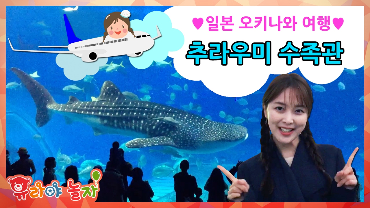 [유라] 장난감(toy)_일본 오키나와 여행 츄라우미 수족관 아쿠아리움 돌고래 물고기 고래상어 japan Okinawa travel aquarium dolphin