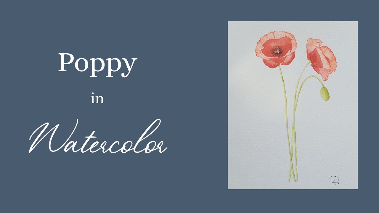 Watercolor Poppy Tutorial