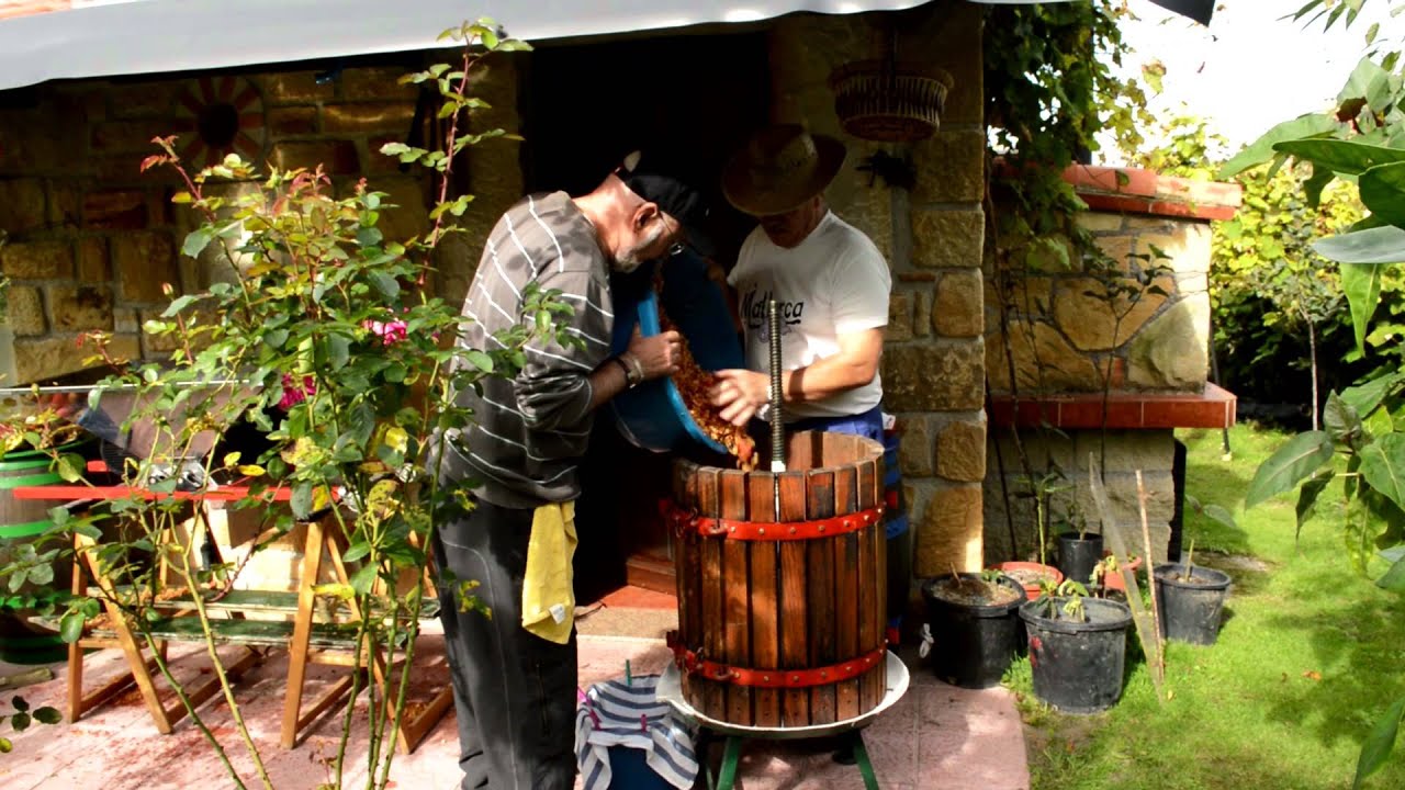 Mayando sidra 2015