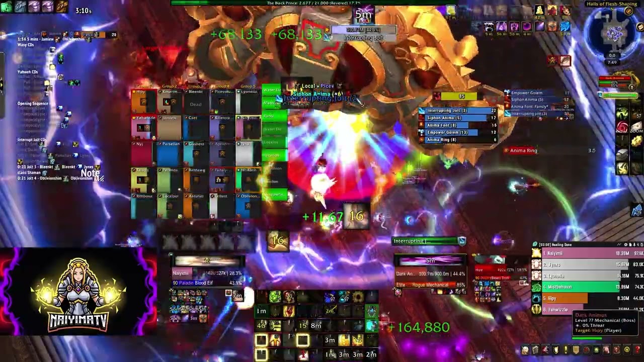 Blitz VS. Heroic Dark Animus