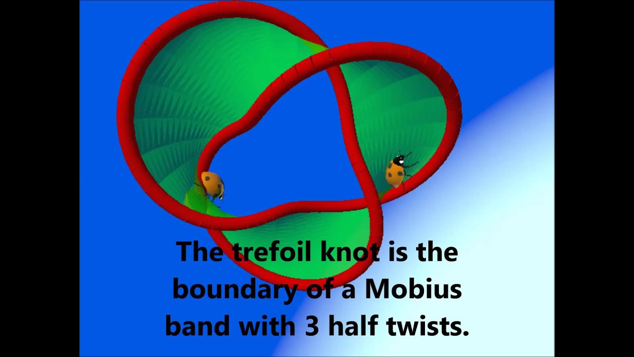 amazing trefoil knot