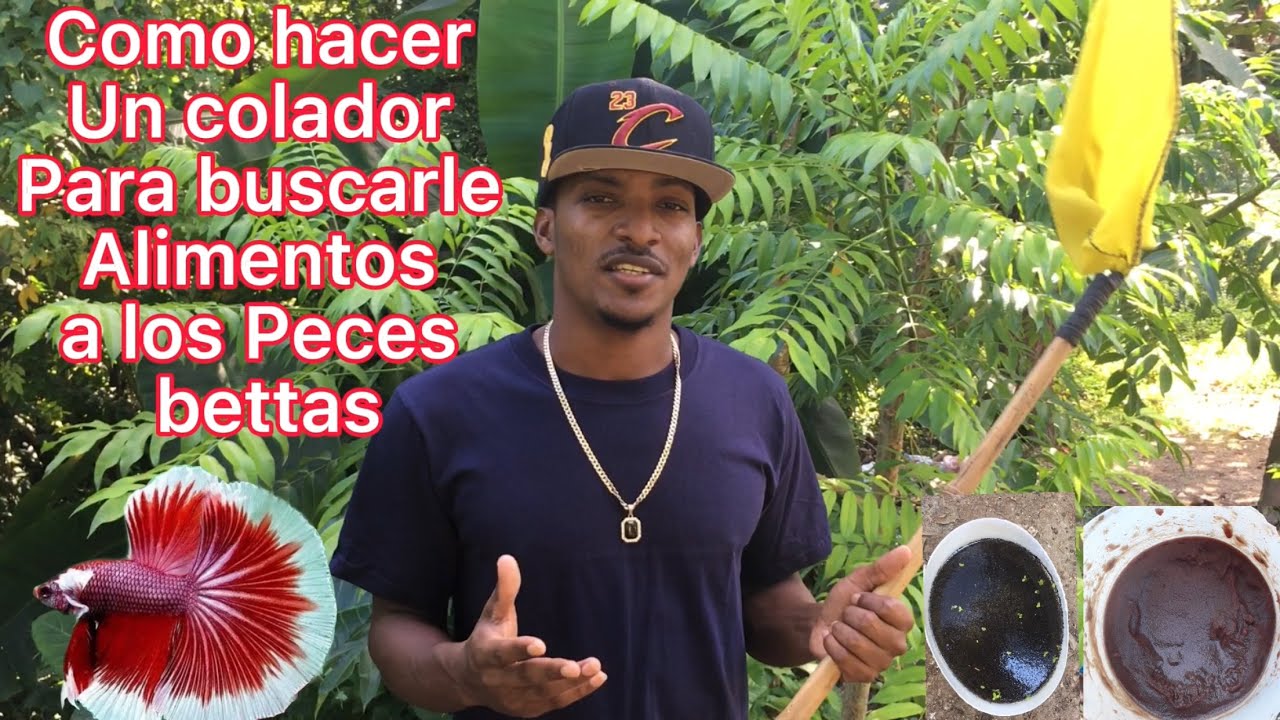 Como hacer un colador