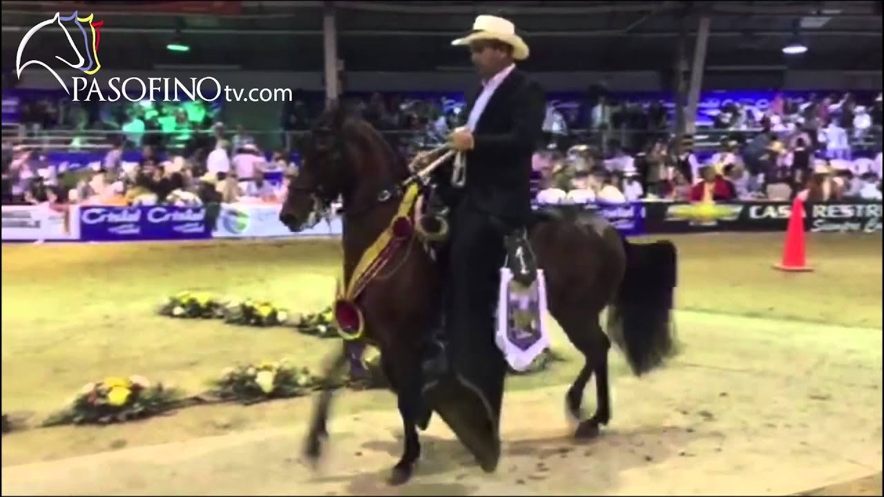 Trocha - Tripleta De Santa Isabela Y Cumparsita Laboyana, Manizales