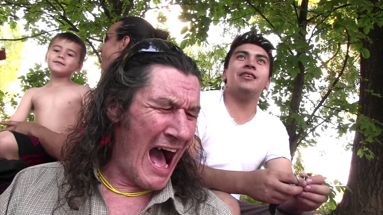 Auca Abre tus alas