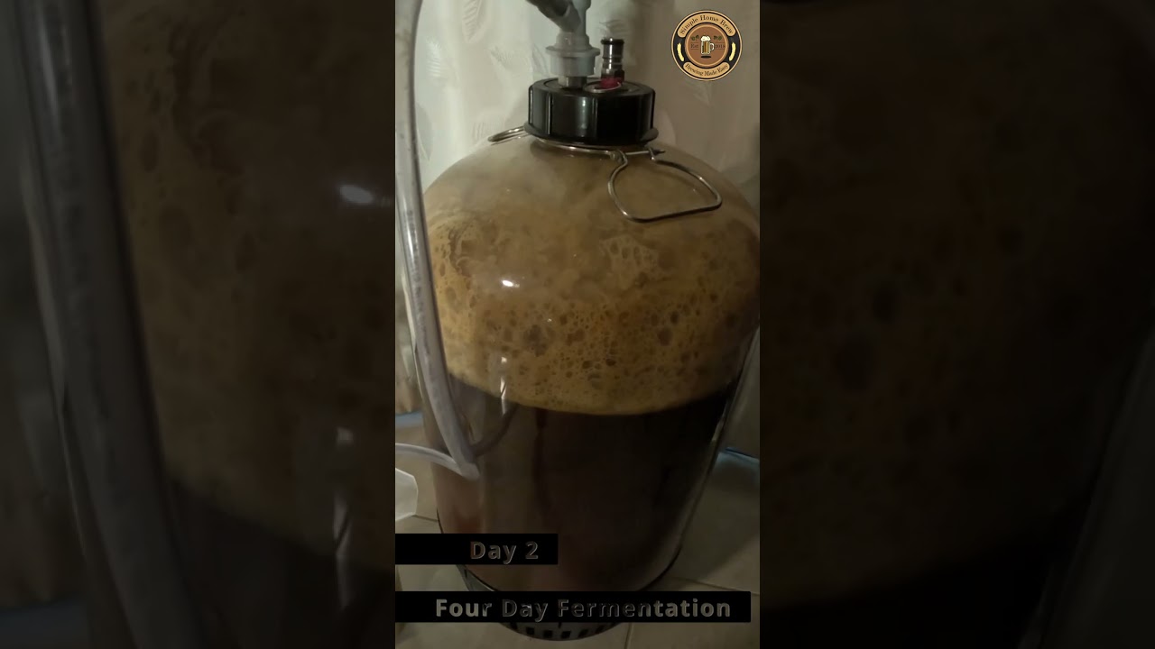 Watch Fermentation In Action: A 4-day Time Lapse!