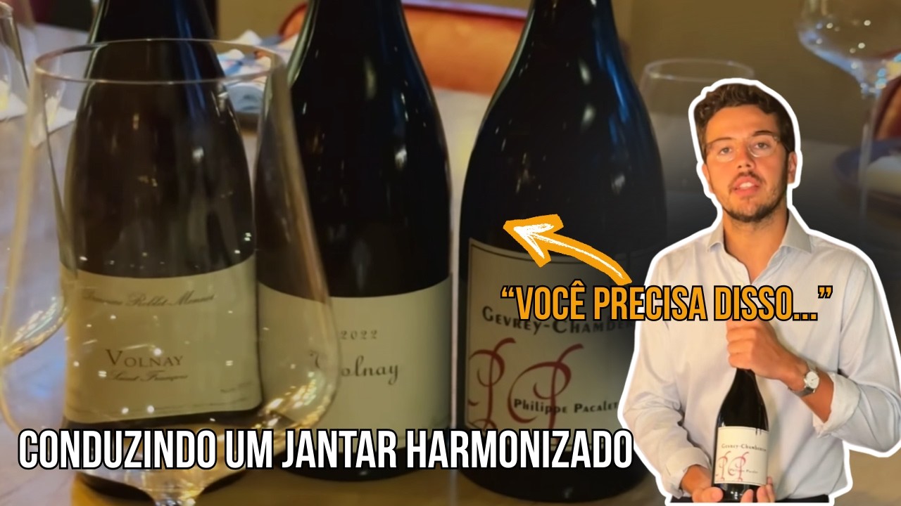 COMO É UM JANTAR HARMONIZADO COM VINHO? - EVENTO ORGANIZADO POR MIM!
