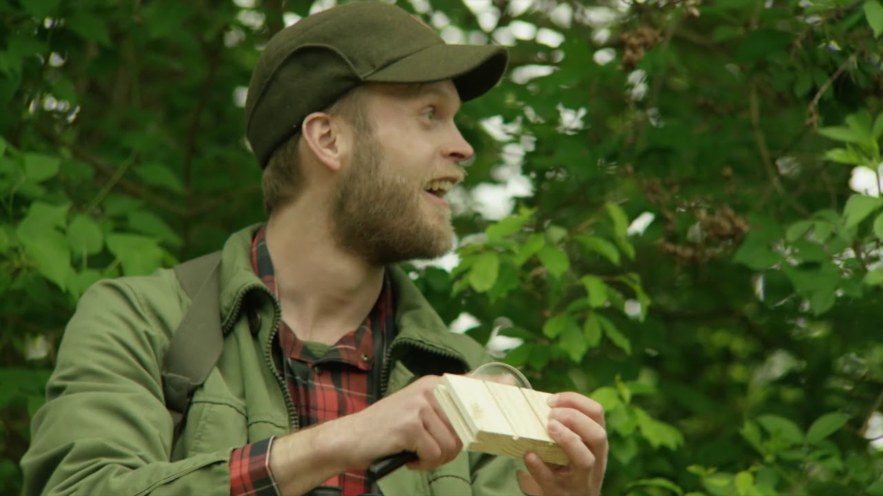 Superwood&reg; NO &ndash; tr&aelig;-eksperterne &ndash; Gennemimpr&aelig;gneret
